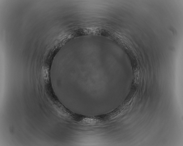 X0000115100699200911101545