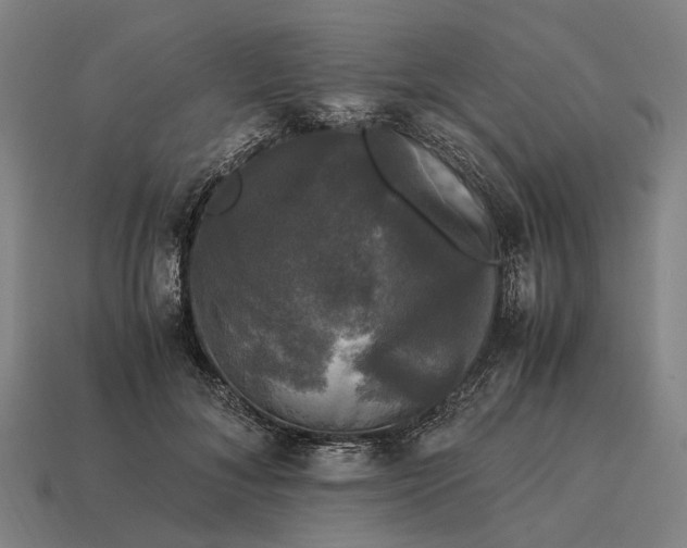 X0000115100700200911101545