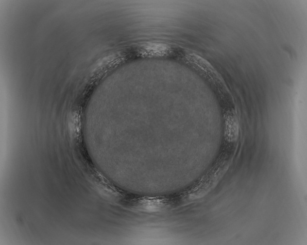 X0000115100701200911101545