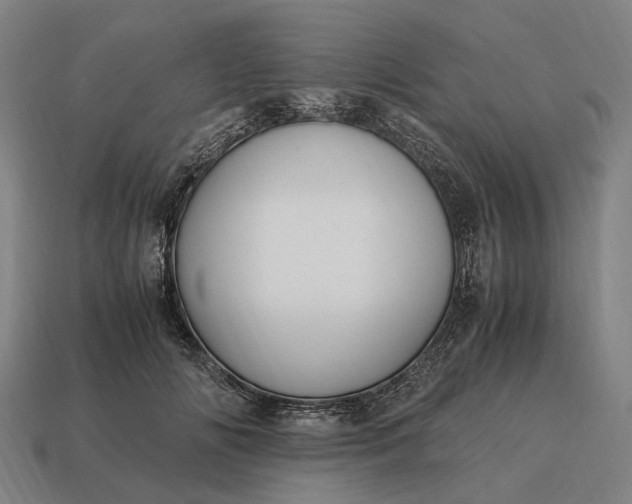 X0000115100702200911101545