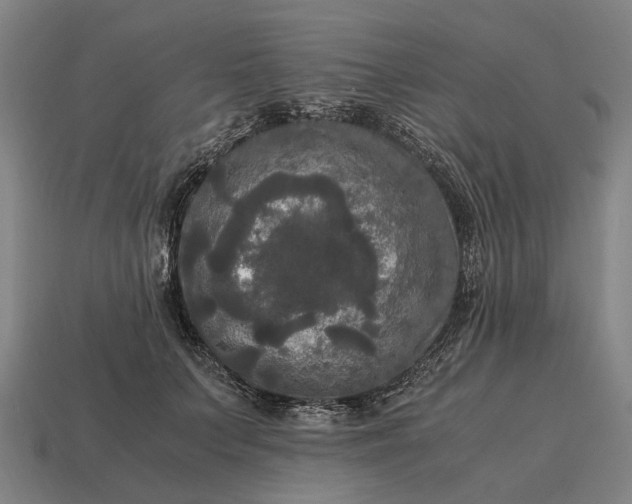 X0000115100703200911101545