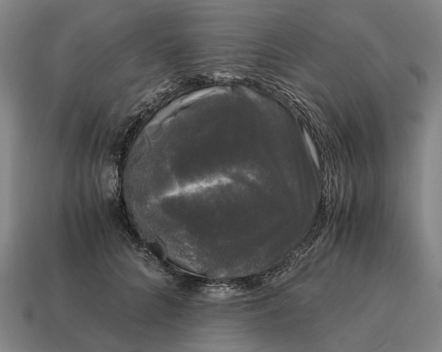 X0000115100704200911101545