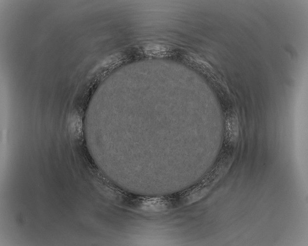 X0000115100705200911101545