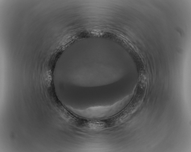 X0000115100707200911101545