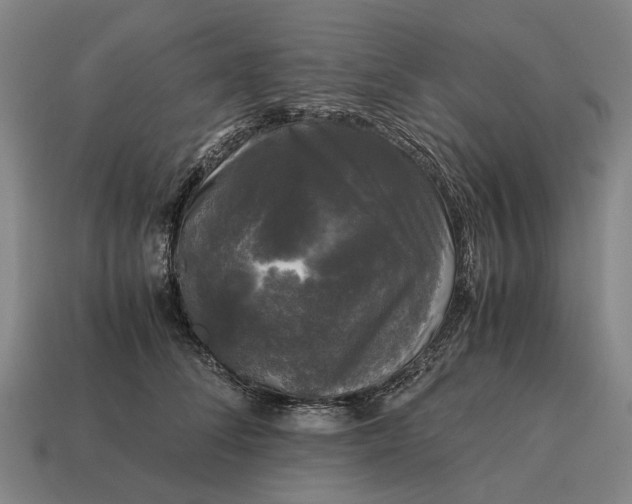 X0000115100708200911101545
