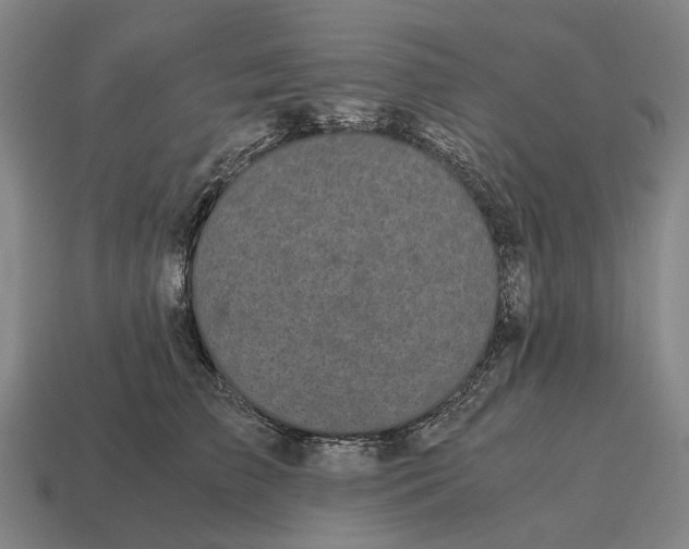 X0000115100709200911101545