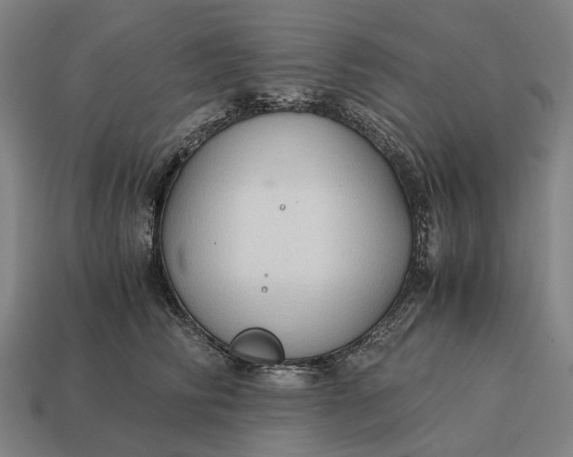 X0000115100710200911101545