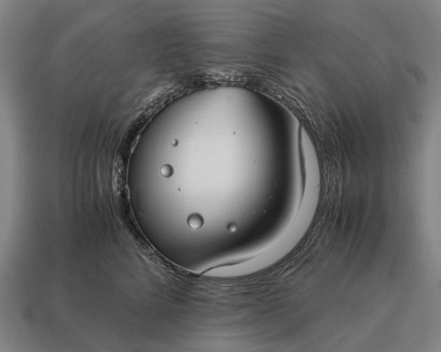 X0000115100712200911101544