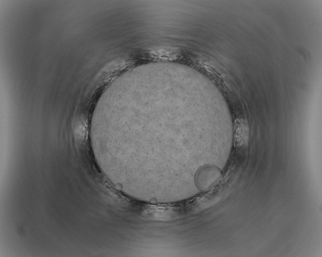 X0000115100713200911101544