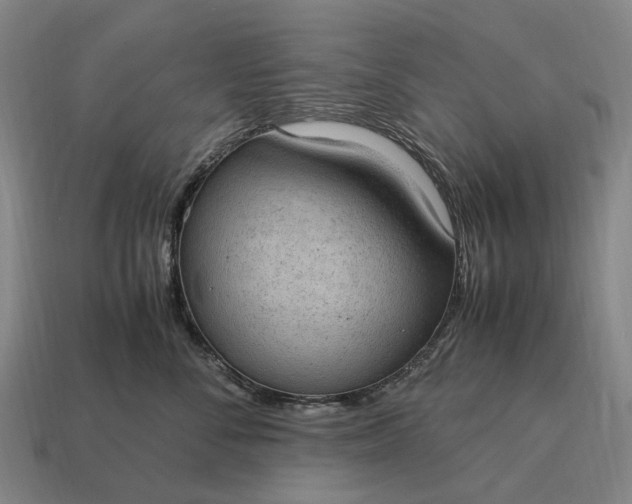 X0000115100716200911101544