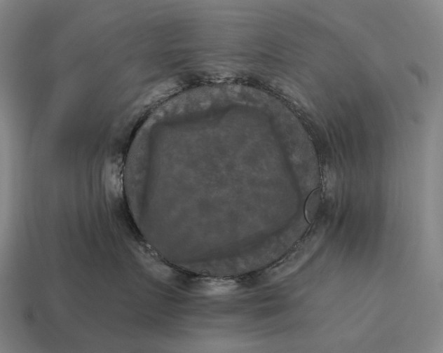X0000115100719200911101544