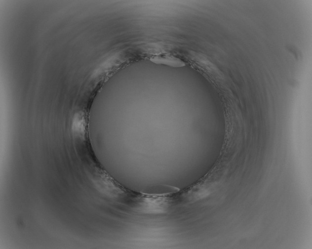 X0000115100720200911101544
