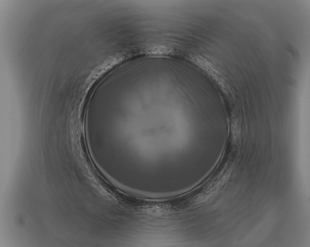 X0000115100721200911101544