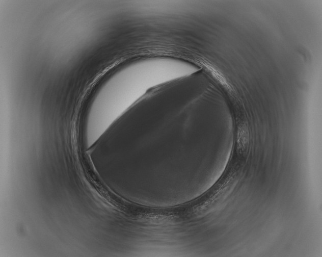 X0000115100722200911101544