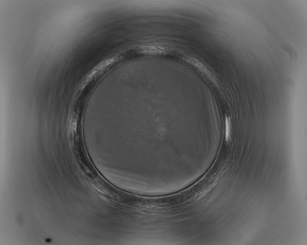 X0000115100723200911101544