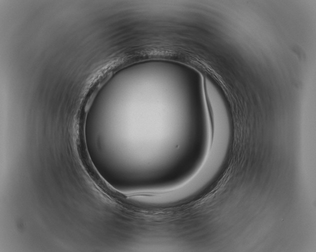 X0000115100725200911101544