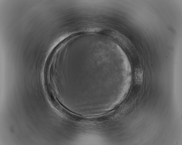X0000115100726200911101544