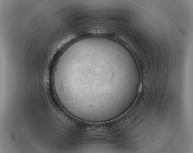 X0000115100727200911101544