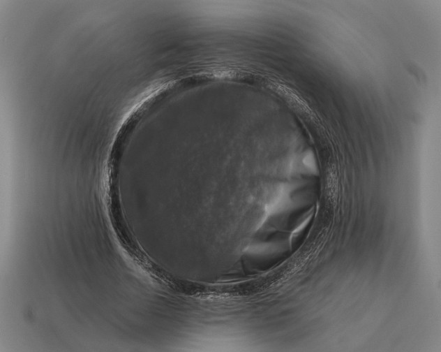 X0000115100730200911101544