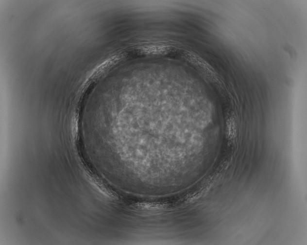 X0000115100733200911101544