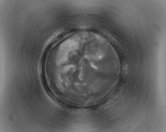 X0000115100734200911101544