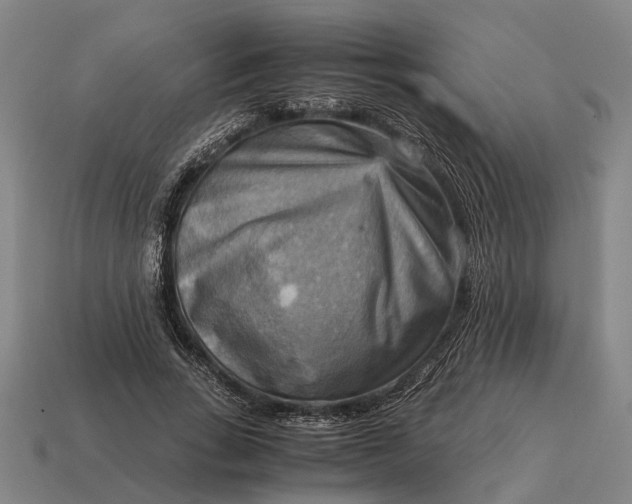 X0000115100735200911101544