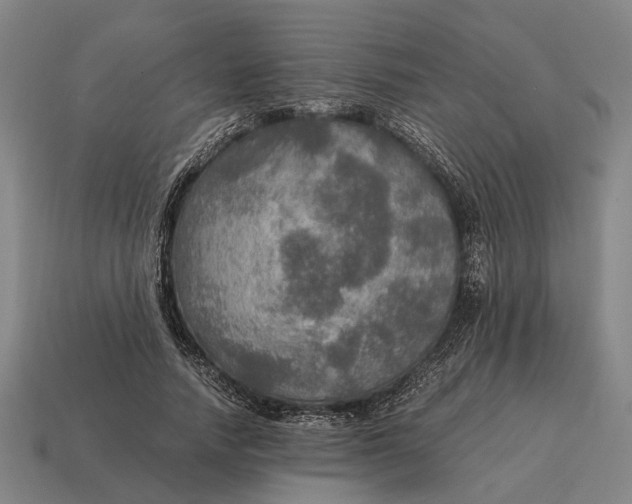 X0000115100738200911101544
