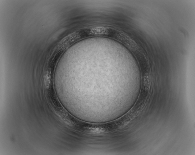 X0000115100741200911101544