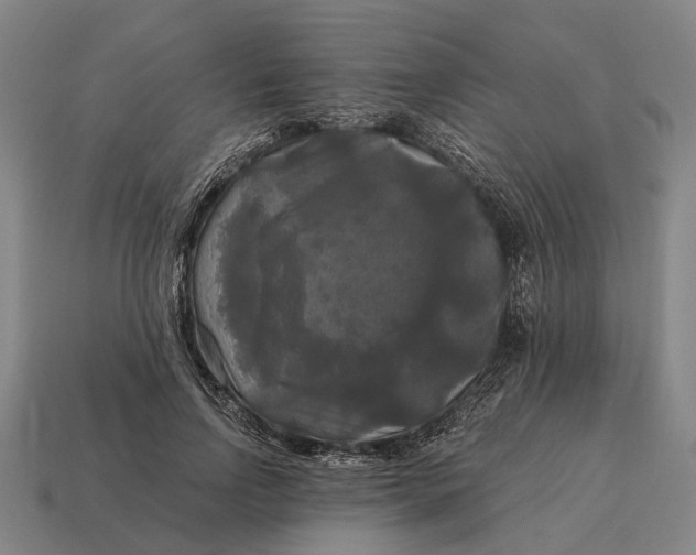 X0000115100742200911101544