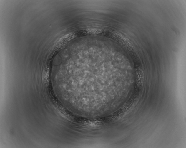 X0000115100745200911101544