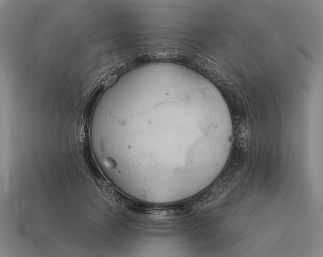 X0000115100746200911101544