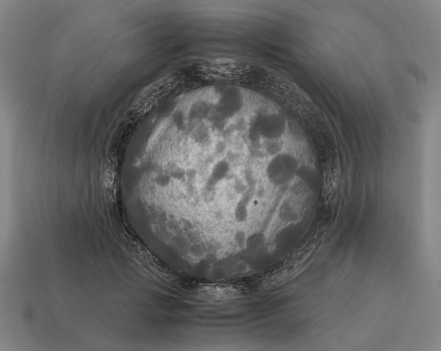 X0000115100749200911101544
