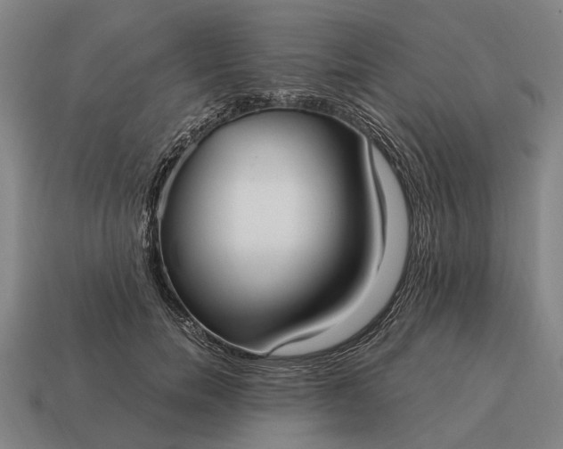 X0000115100750200911101544
