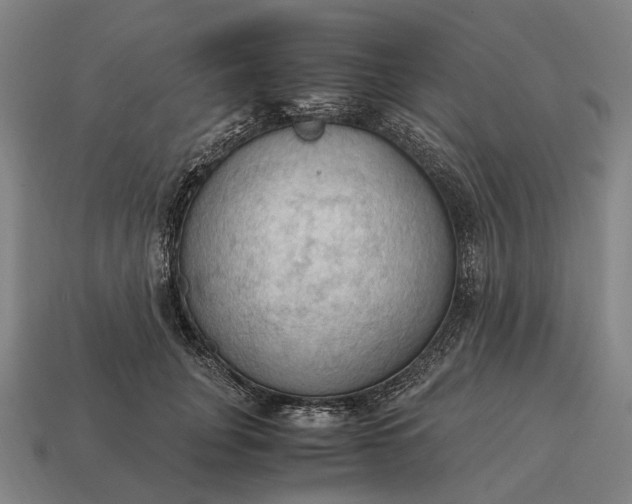 X0000115100751200911101544
