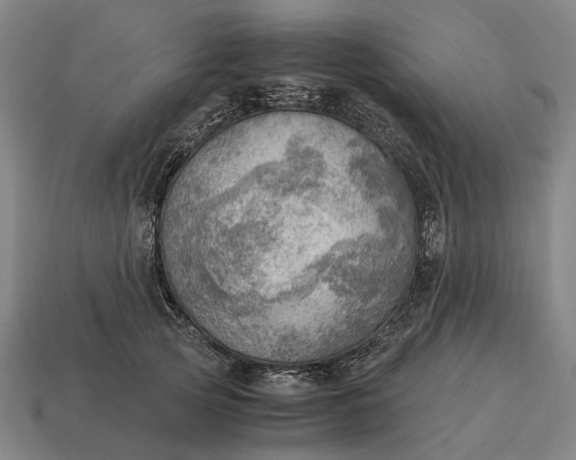 X0000115100753200911101544