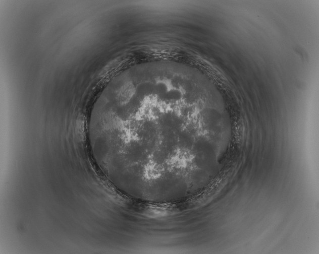 X0000115100757200911101544