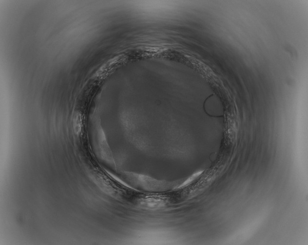 X0000115100758200911101544