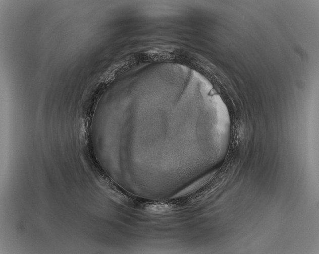 X0000115100759200911101544