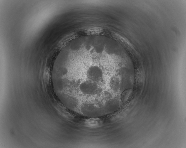 X0000115100761200911101544
