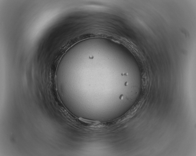 X0000115100762200911101544