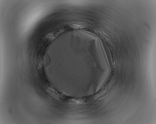 X0000115100763200911101544