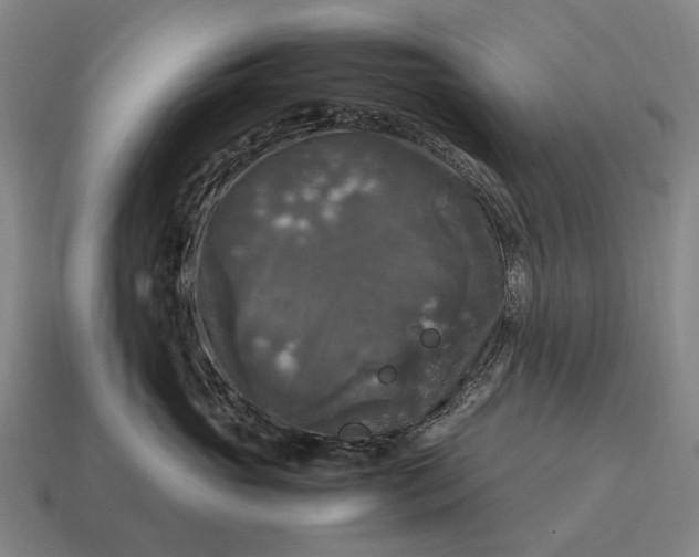X0000115100765200911101544