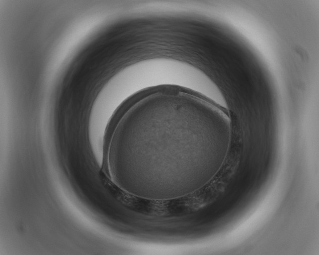 X0000115100766200911101544