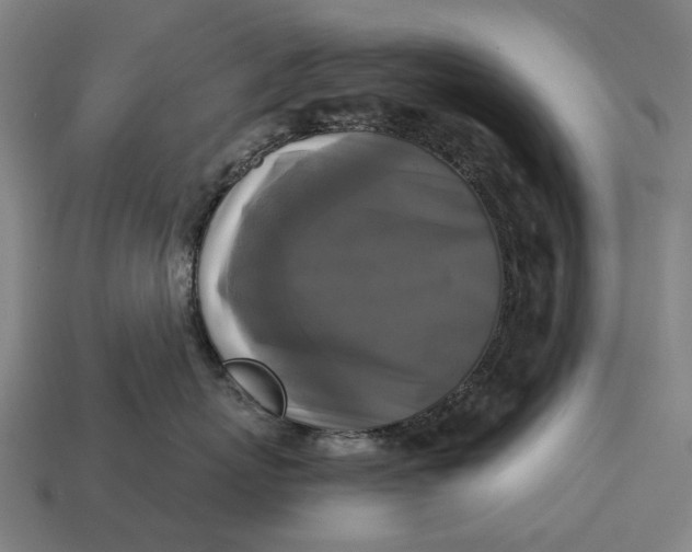 X0000115100767200911101544