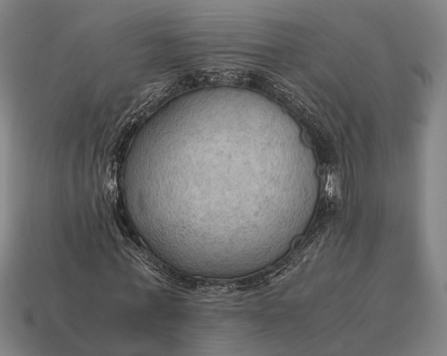 X0000115100771200911101544