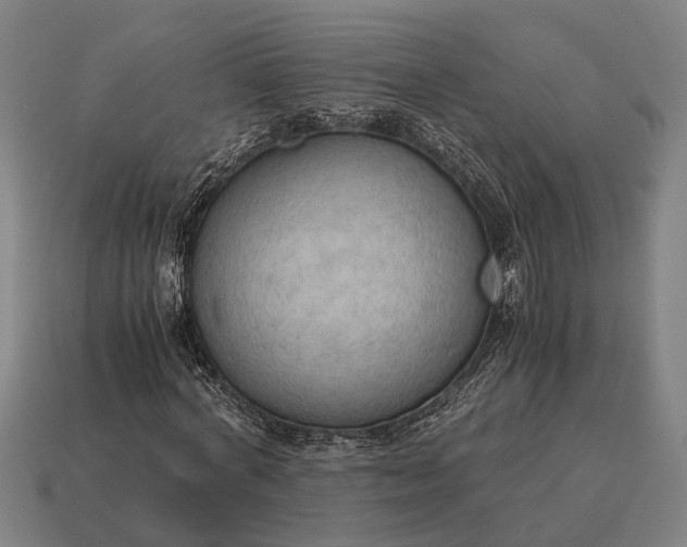 X0000115100772200911101544