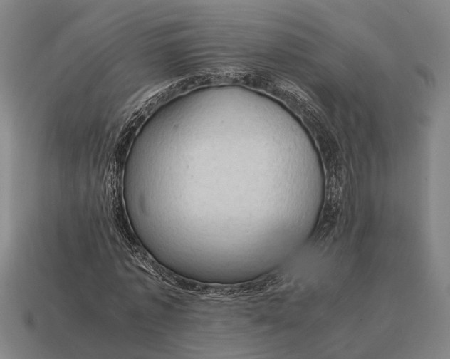 X0000115100773200911101544