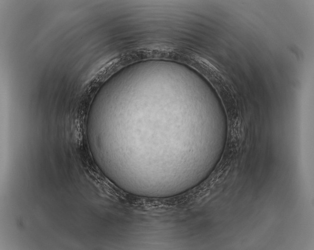 X0000115100774200911101544
