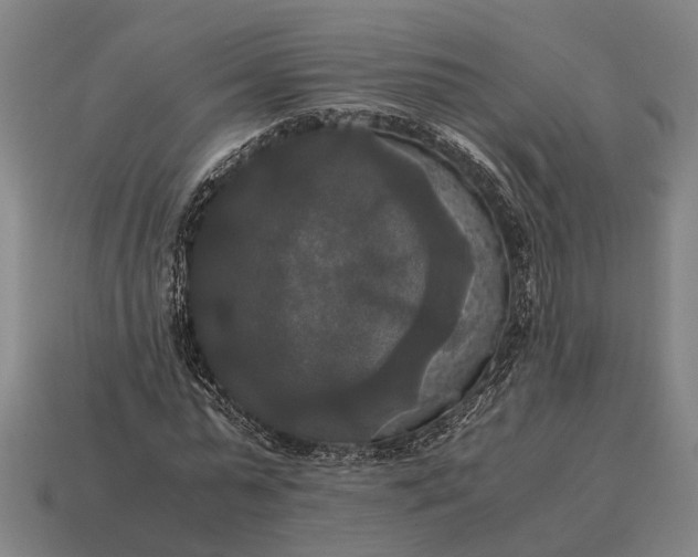 X0000115100775200911101544