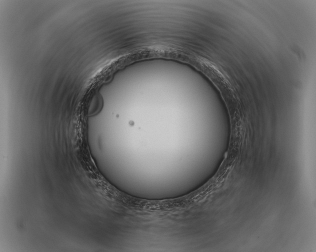 X0000115100776200911101544